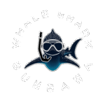 whale shark sumbawa logo, sumbawa whale shark tour, whale shark lombok, whale shark bali